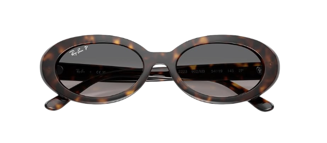 Ray-Ban womens Rb2223 Oval Sunglasses